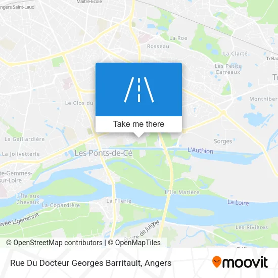 Rue Du Docteur Georges Barritault map