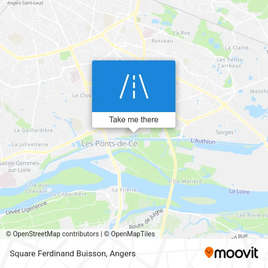 Square Ferdinand Buisson map