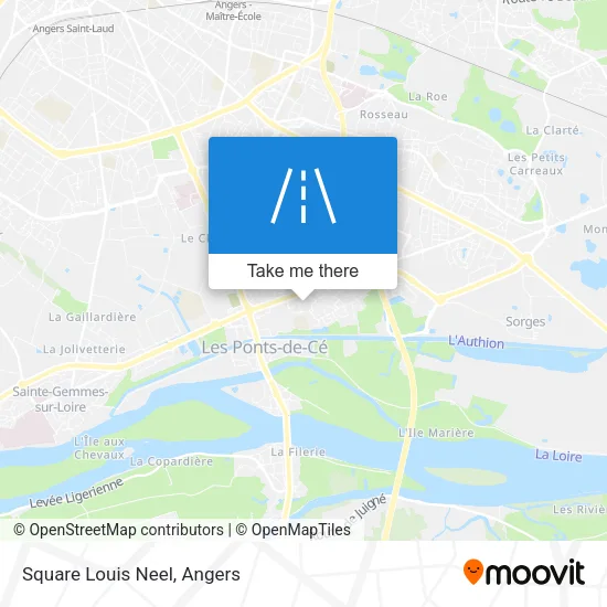 Square Louis Neel map