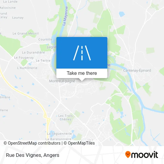Rue Des Vignes map