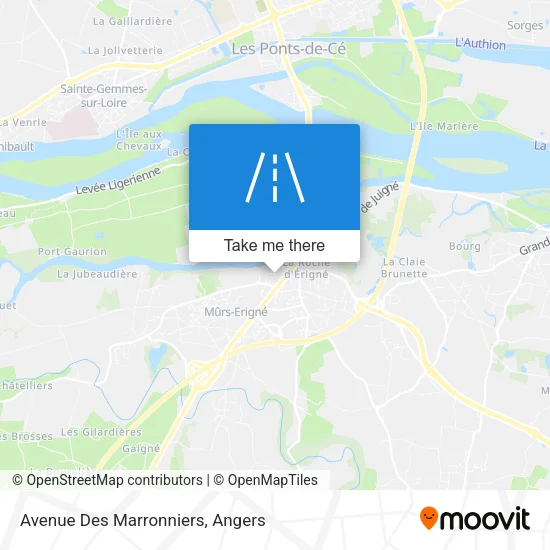 Avenue Des Marronniers map