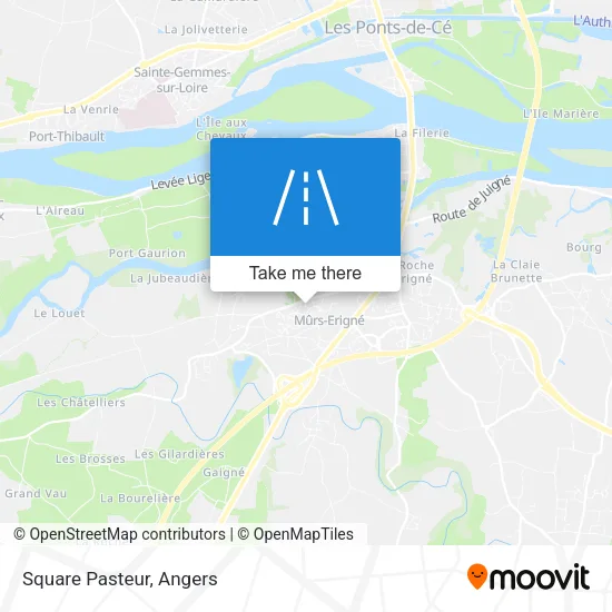 Square Pasteur map