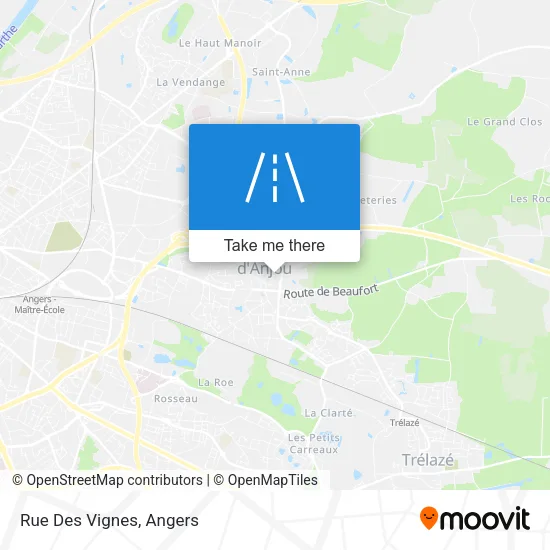 Rue Des Vignes map