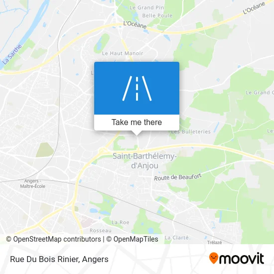 Rue Du Bois Rinier map