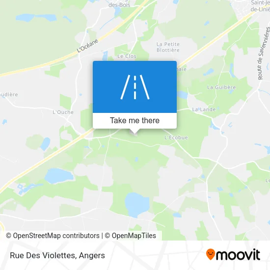 Rue Des Violettes map