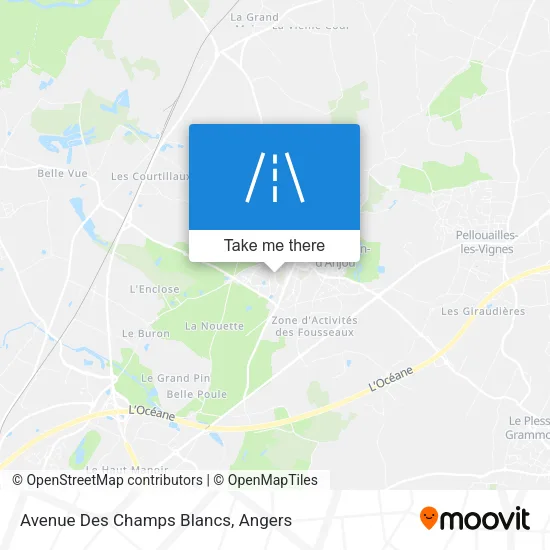 Avenue Des Champs Blancs map
