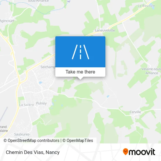 Chemin Des Vias map