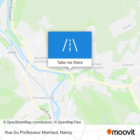Rue Du Professeur Montaut map
