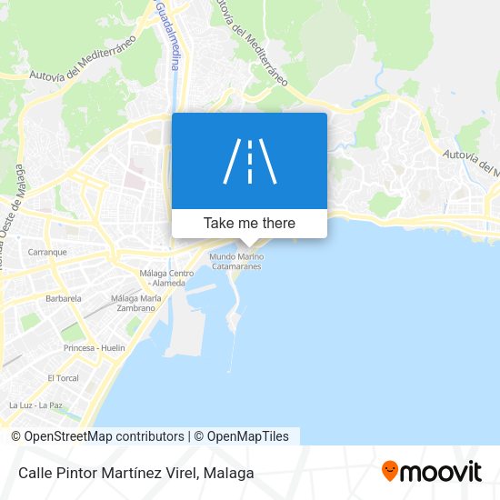 Calle Pintor Martínez Virel map