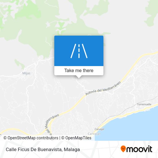 Calle Ficus De Buenavista map
