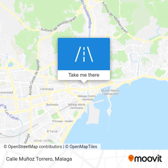 Calle Muñoz Torrero map