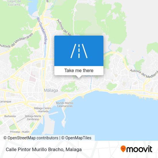 Calle Pintor Murillo Bracho map
