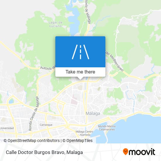 Calle Doctor Burgos Bravo map