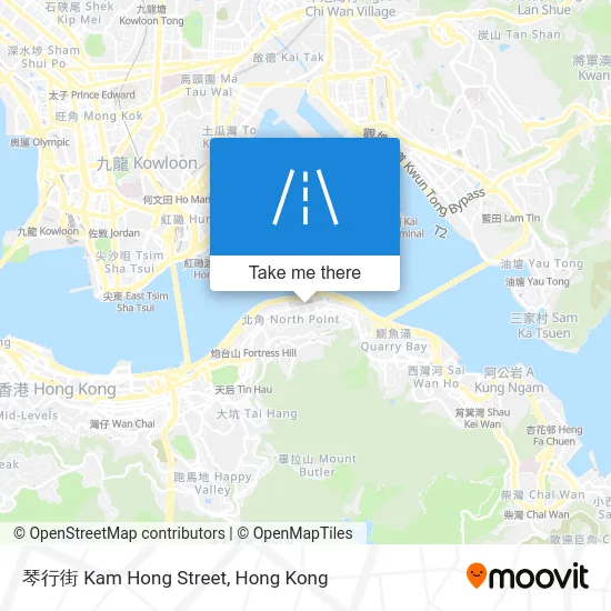 琴行街 Kam Hong Street map