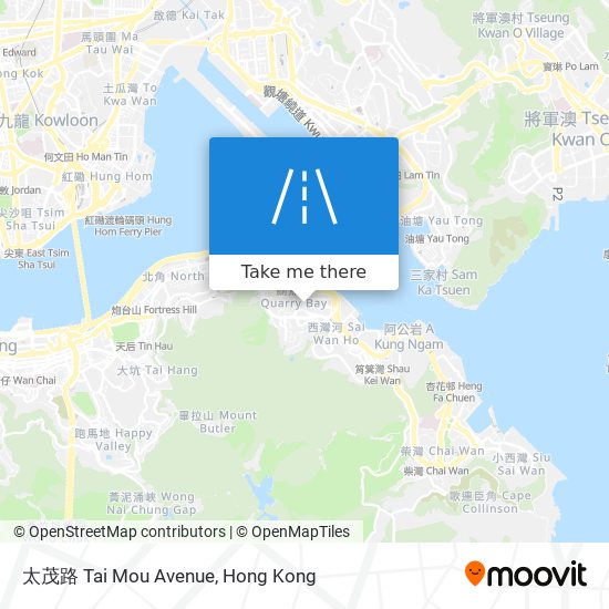 太茂路 Tai Mou Avenue map