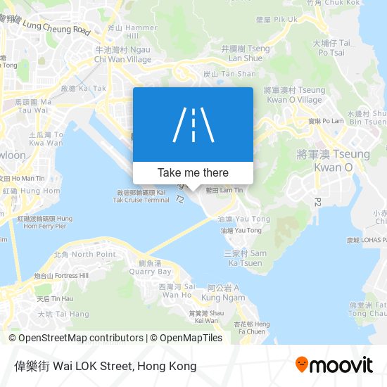 偉樂街 Wai LOK Street map