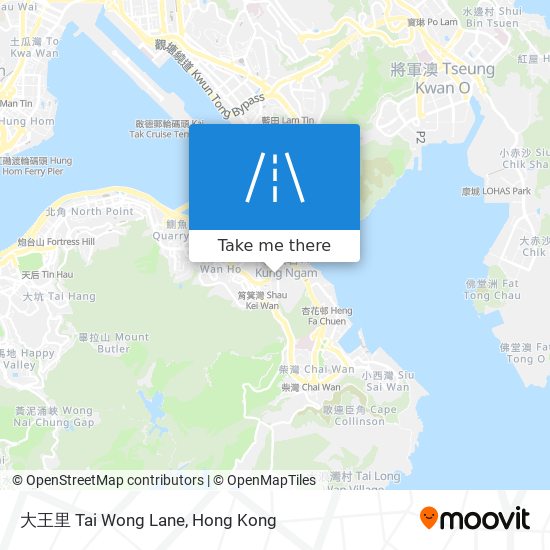 大王里 Tai Wong Lane map