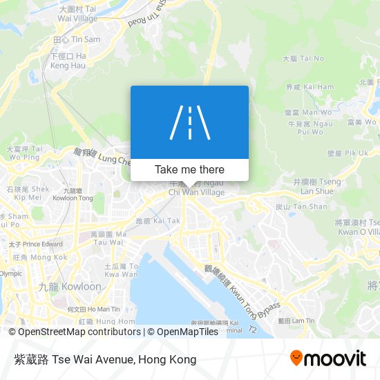 紫葳路 Tse Wai Avenue map