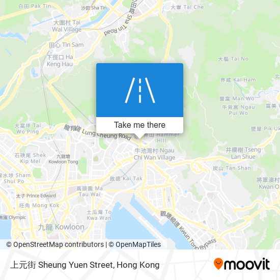 上元街 Sheung Yuen Street map