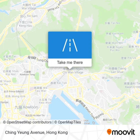 青楊路 Ching Yeung Avenue地圖