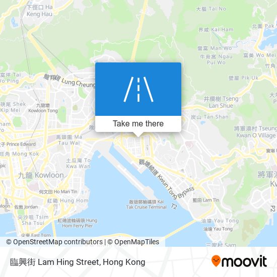 臨興街 Lam Hing Street map