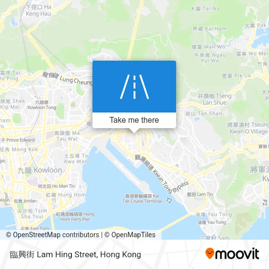 臨興街 Lam Hing Street地圖