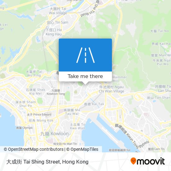 大成街 Tai Shing Street地圖
