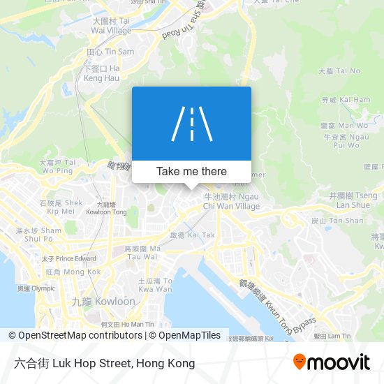 六合街 Luk Hop Street map