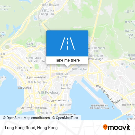 龍崗道 Lung Kong Road地圖