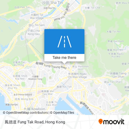 鳳德道 Fung Tak Road map