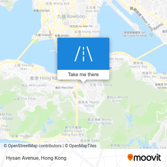 Hysan Avenue map
