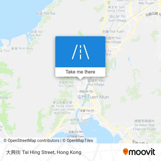 大興街 Tai Hing Street map