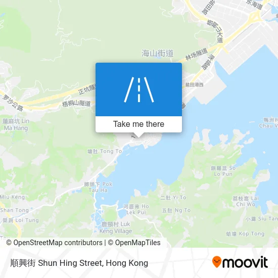 順興街 Shun Hing Street map