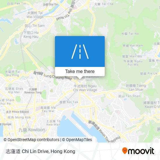 志蓮道 Chi Lin Drive map