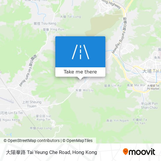 大陽輋路 Tai Yeung Che Road map