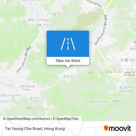 大陽輋路 Tai Yeung Che Road地圖