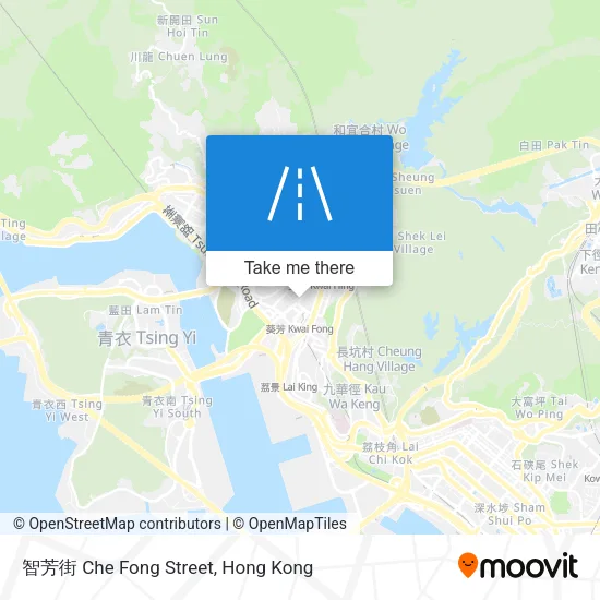 智芳街 Che Fong Street地圖