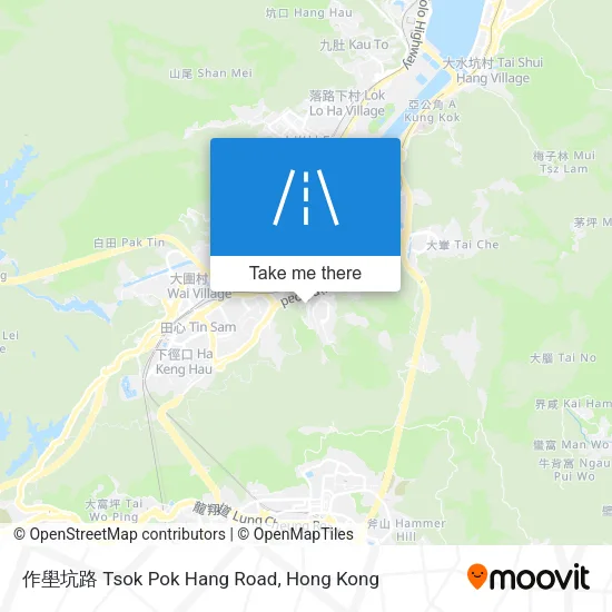 作壆坑路 Tsok Pok Hang Road map