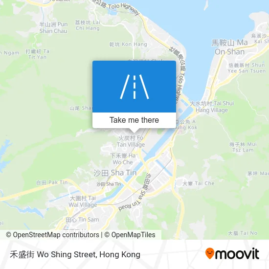 禾盛街 Wo Shing Street map