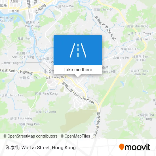 和泰街 Wo Tai Street map