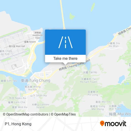 P1 map