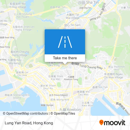 龍欣道 Lung Yan Road地圖