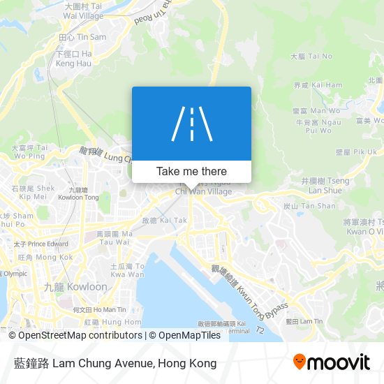 藍鐘路 Lam Chung Avenue map