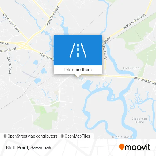 Bluff Point map