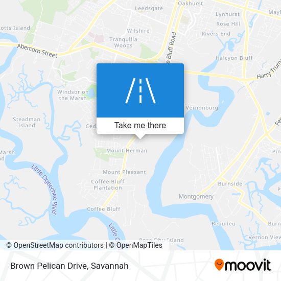 Brown Pelican Drive map