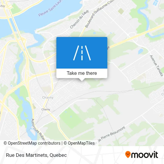 Rue Des Martinets map