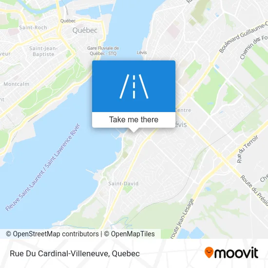 Rue Du Cardinal-Villeneuve map