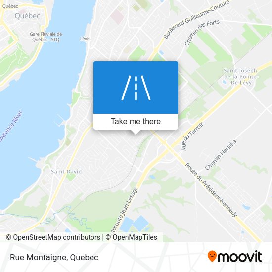 Rue Montaigne map