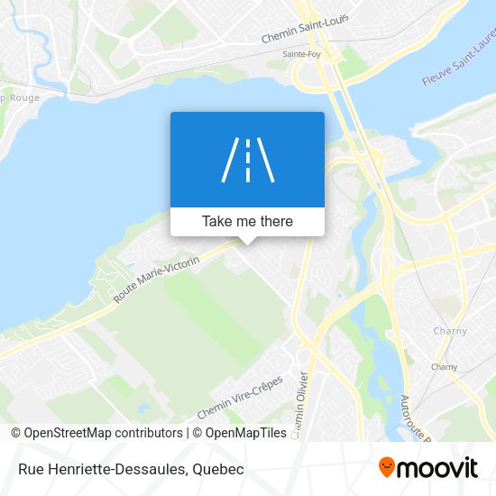 Rue Henriette-Dessaules map