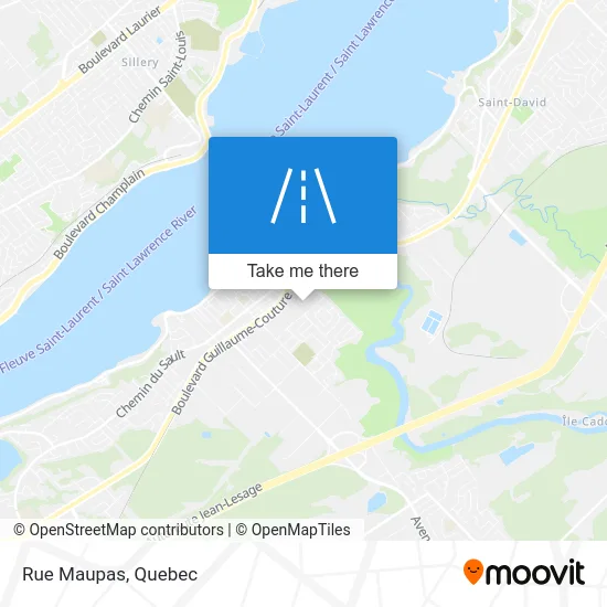 Rue Maupas map